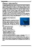Ebook gratuit - La plongee sous-marine - Livre de plongee sous-marine